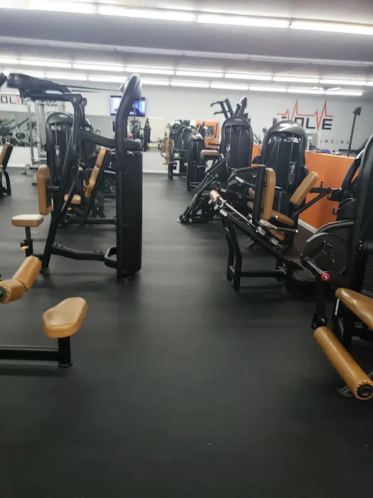 Evolve Fitness & Climbing Picture 10