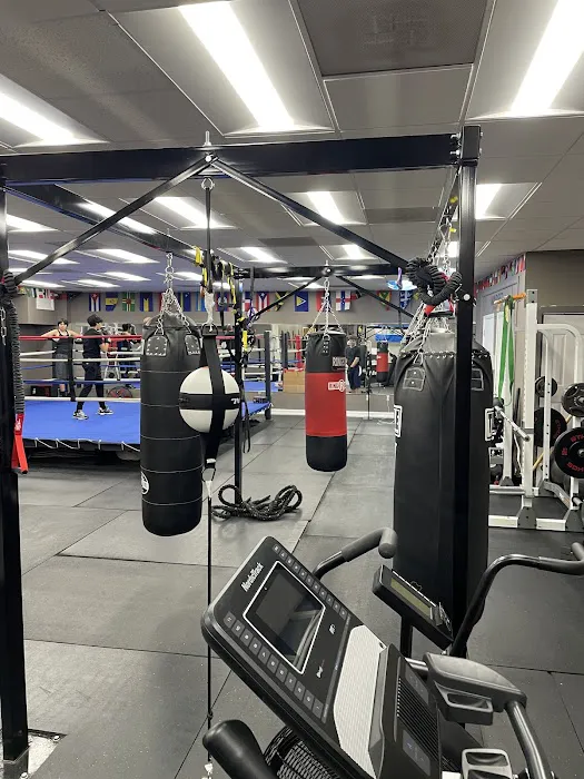 Rec-Mode Fitness & Boxing Picture 2