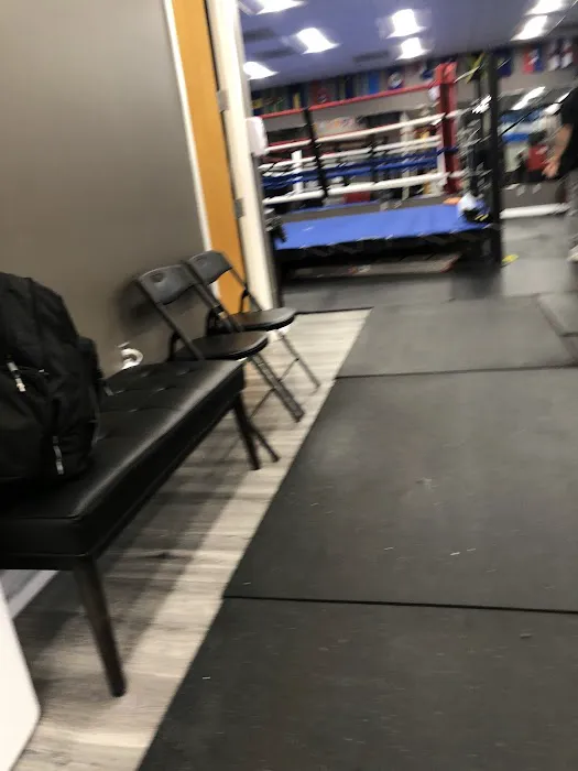 Rec-Mode Fitness & Boxing Picture 4
