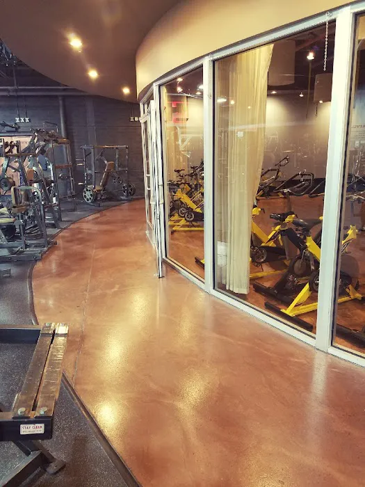 Powerhouse Gym Shelby Township Picture 10