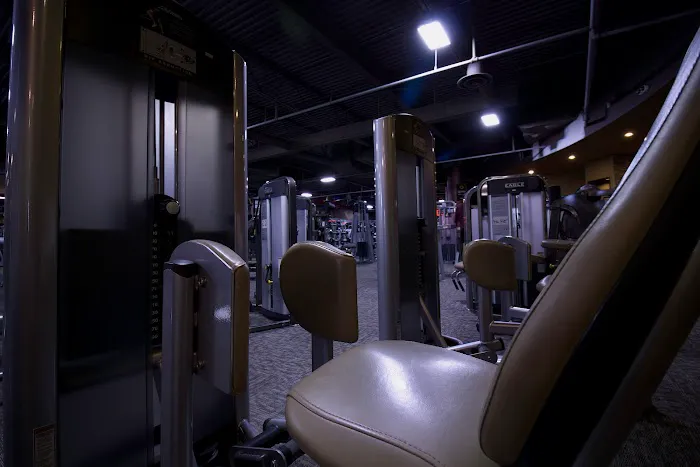 Powerhouse Gym Shelby Township Picture 8