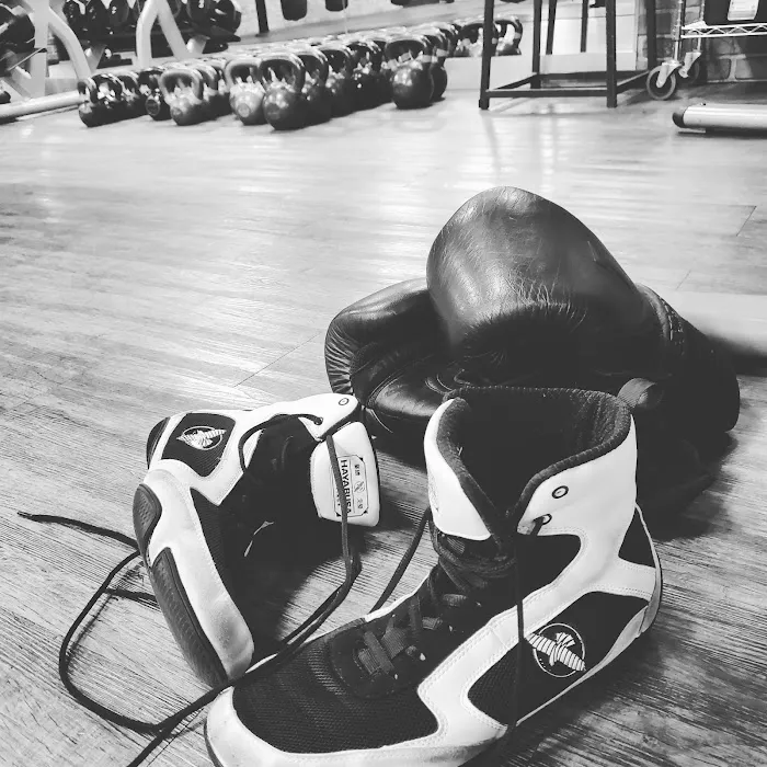 TITLE Boxing Club Shelby Township Picture 8