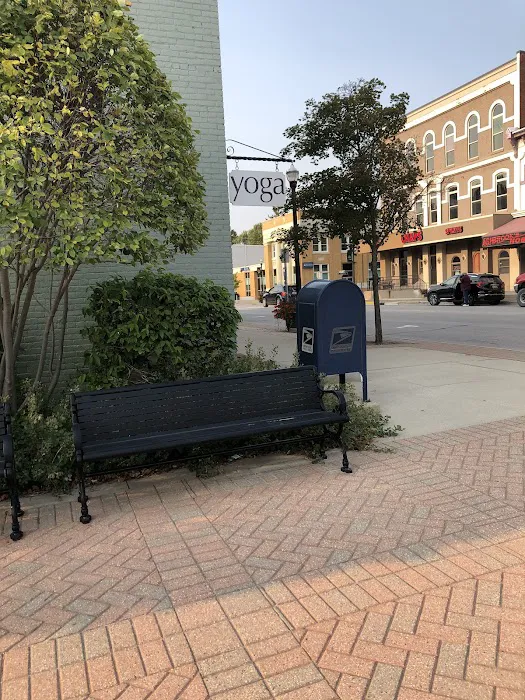 Wild Flower Yoga Picture 6