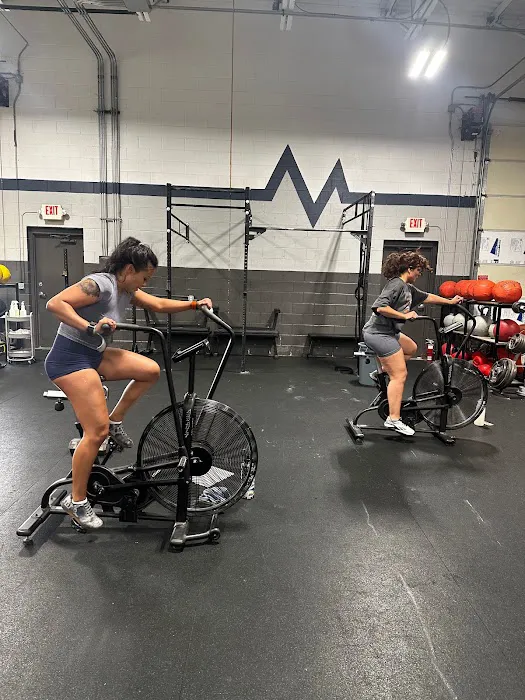 THE BAR Fitness Collective (CrossFit Macomb) Picture 4