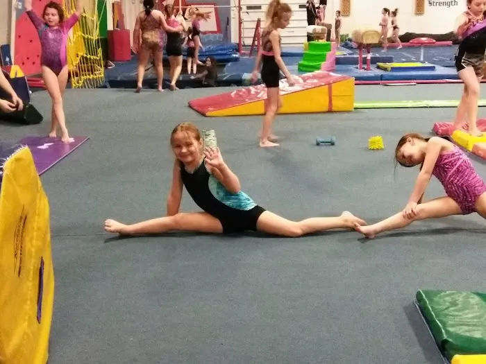 All American Flames Gymnastix Picture 7