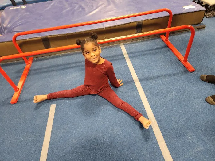 All American Flames Gymnastix Picture 9