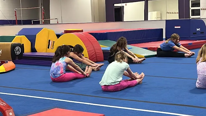 Diamond Gymnastics Picture 10