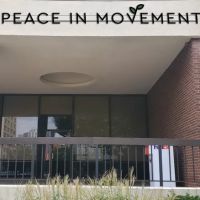 Peace in Movement ico