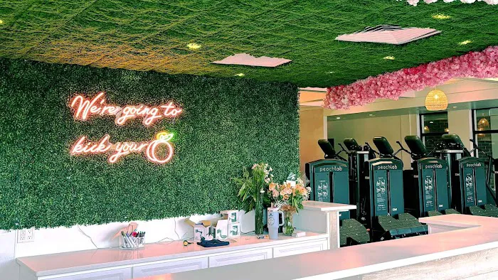 Peach Lab Rochester Picture 1