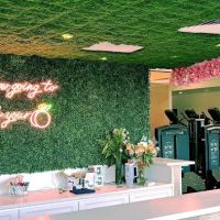 Peach Lab Rochester ico