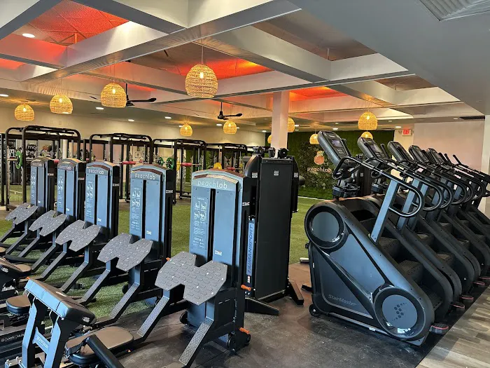 Peach Lab Rochester Picture 2