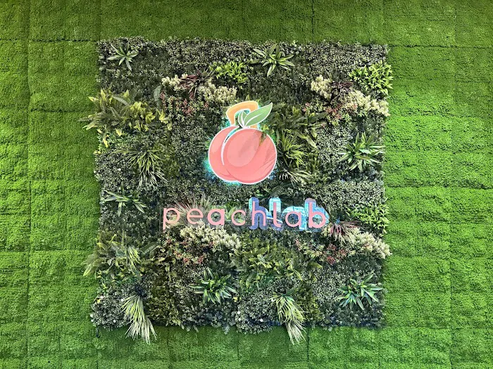 Peach Lab Rochester Picture 10