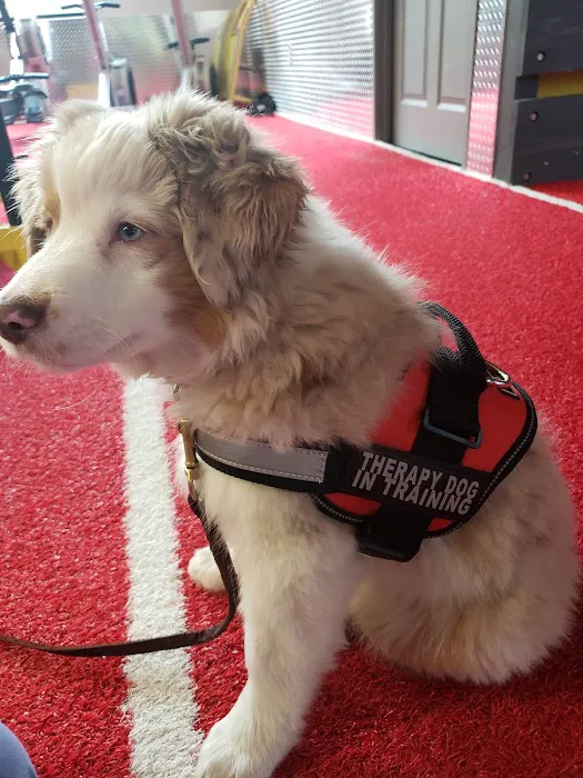 Retro Fitness Picture 2