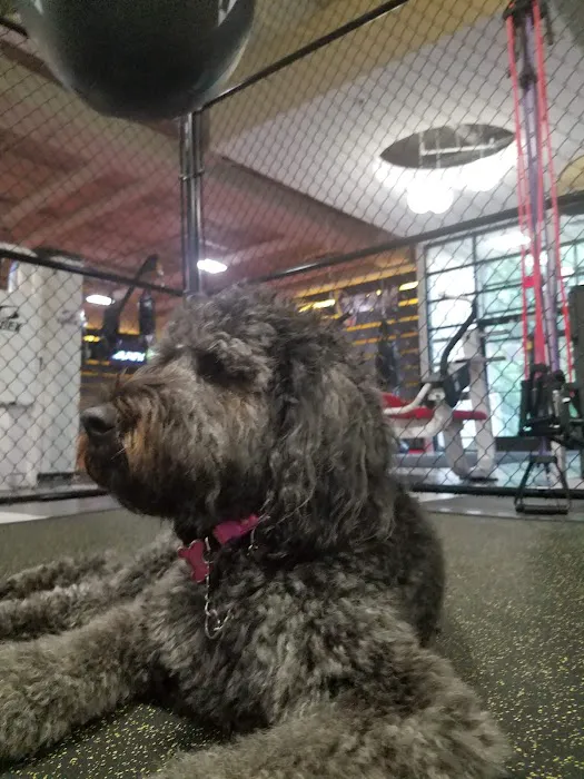 Retro Fitness Picture 7