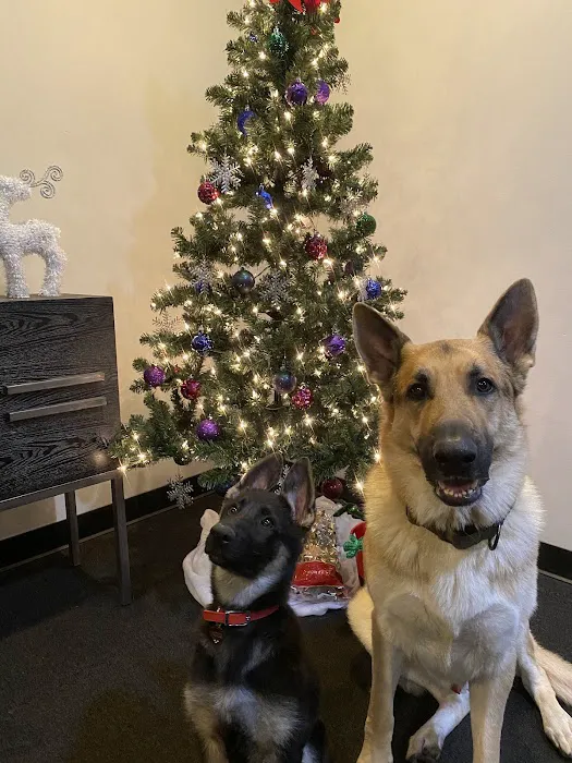 PIT Fitness- Rochester Hills Picture 8