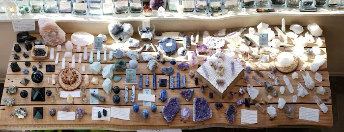 Red Lotus Yoga Picture 10