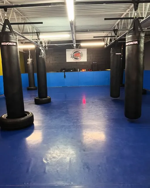 Pay Dirt Boxing Picture 2