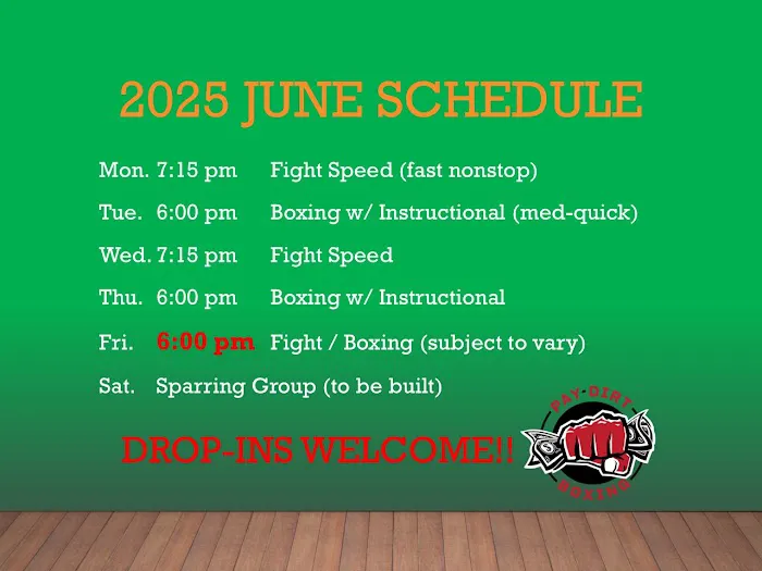 Pay Dirt Boxing Picture 4