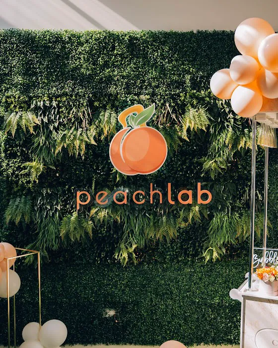 Peach Lab Picture 3