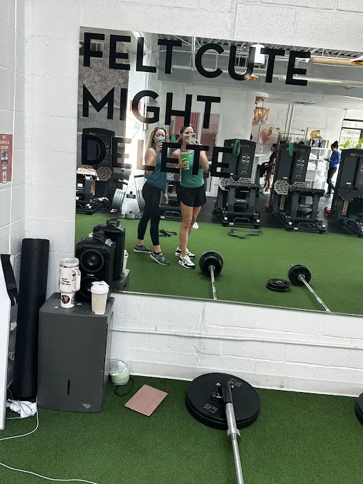 Peach Lab Picture 10