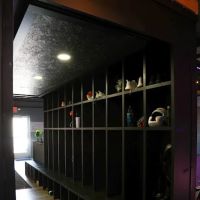 Limitless Performance Gym (LPG) ico