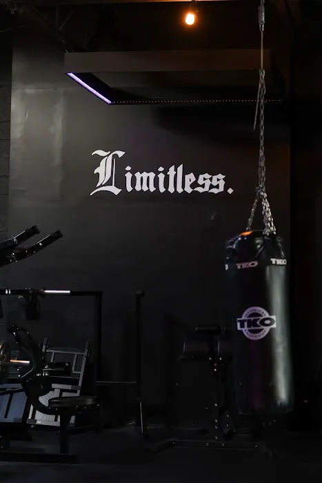 Limitless Performance Gym (LPG) Picture 5