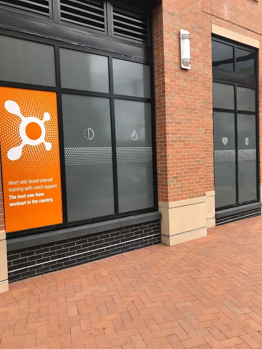 Orangetheory Fitness Picture 3