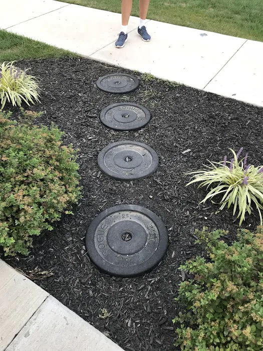 New Species CrossFit Picture 9