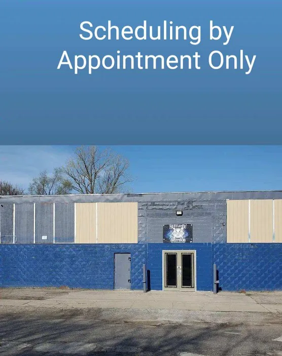 Detroit FastPitch Batting Academy Picture 2