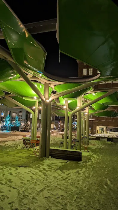 Ice Rink Royal Oak Picture 3