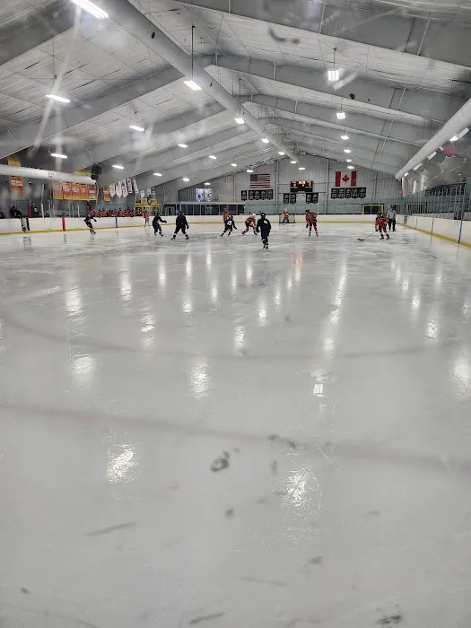 Ice Rink Royal Oak Picture 4
