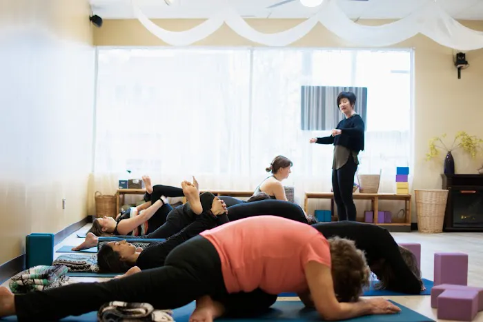 Namaste Yoga Center Picture 9