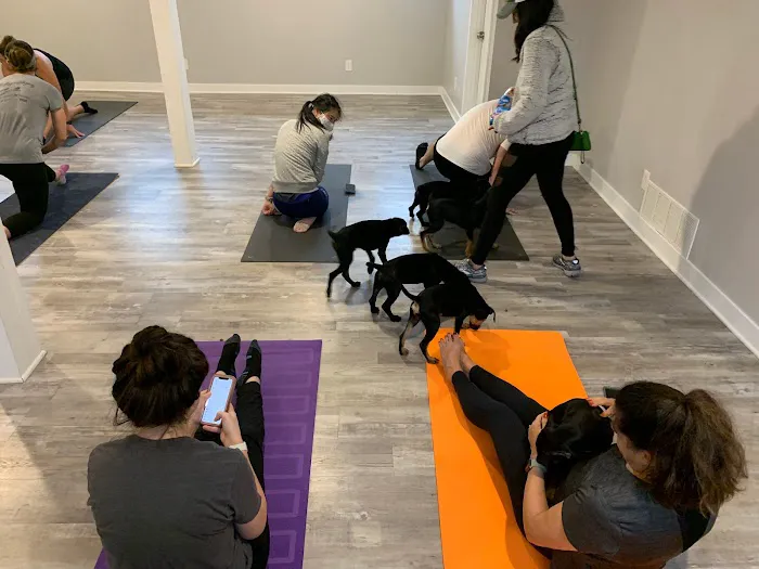 Aptitude Fitness + Yoga Picture 1