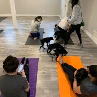 Aptitude Fitness + Yoga ico