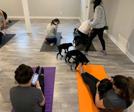 Aptitude Fitness + Yoga