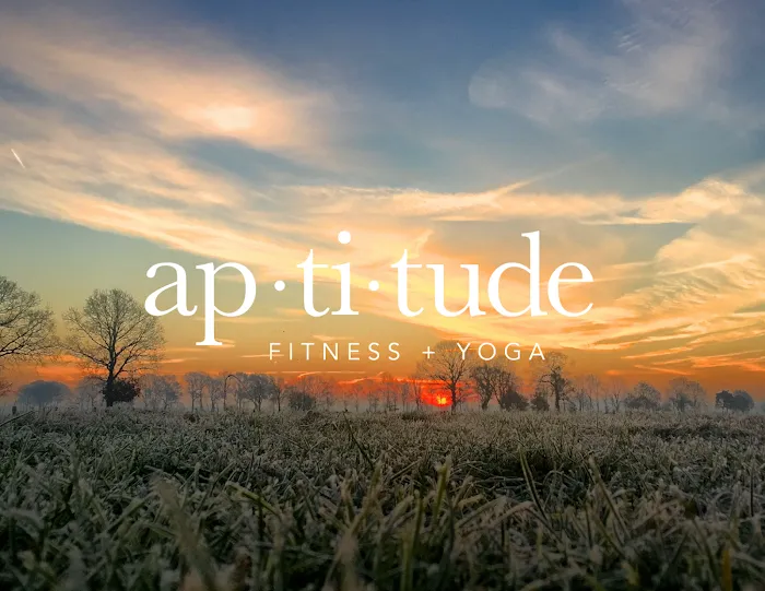 Aptitude Fitness + Yoga Picture 7
