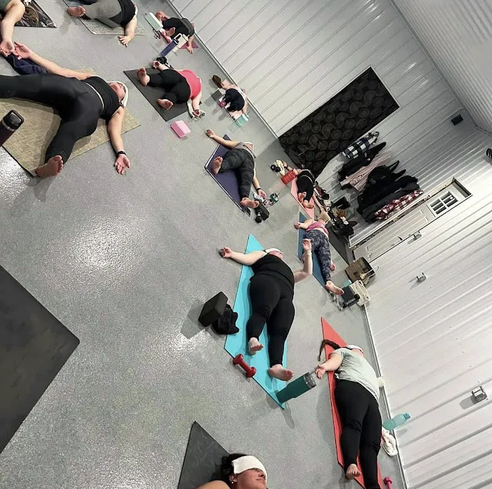 Flying Crow Yoga Studio Picture 3