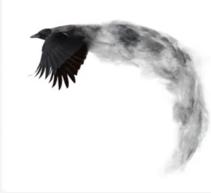 Flying Crow Yoga Studio Picture 2