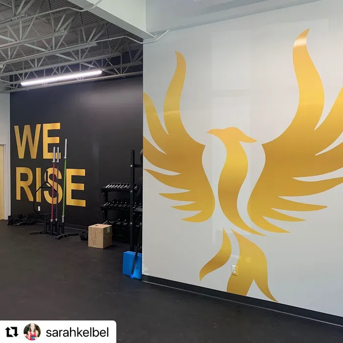 Phoenix Training & Nutrition Picture 5