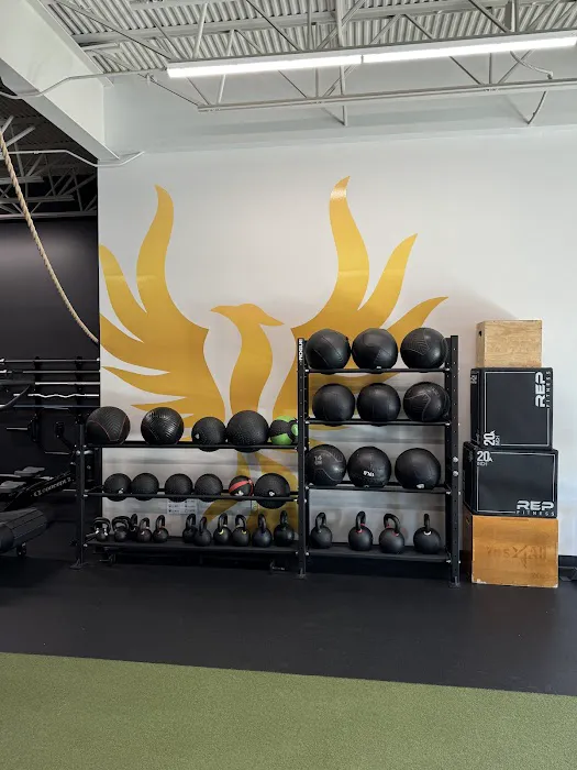 Phoenix Training & Nutrition Picture 4