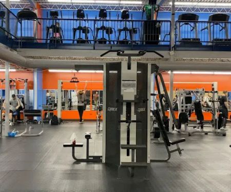 Family Fitness of Alpine