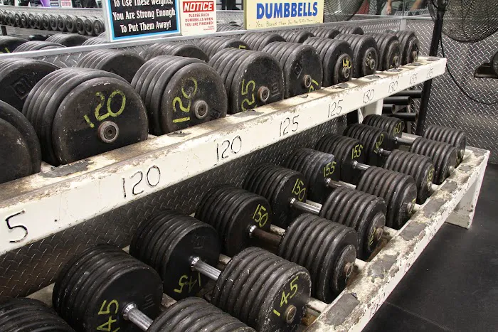 USA Gym INC Picture 6