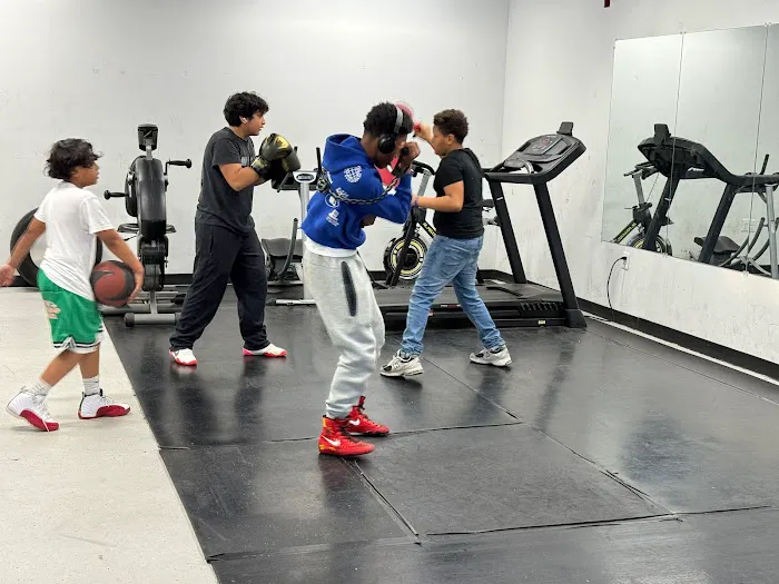 TTY Boxing & Fitness Picture 1