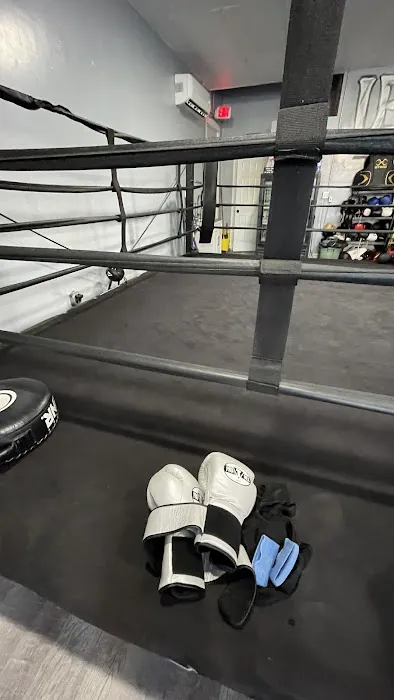 3 Jmh Boxing Picture 2