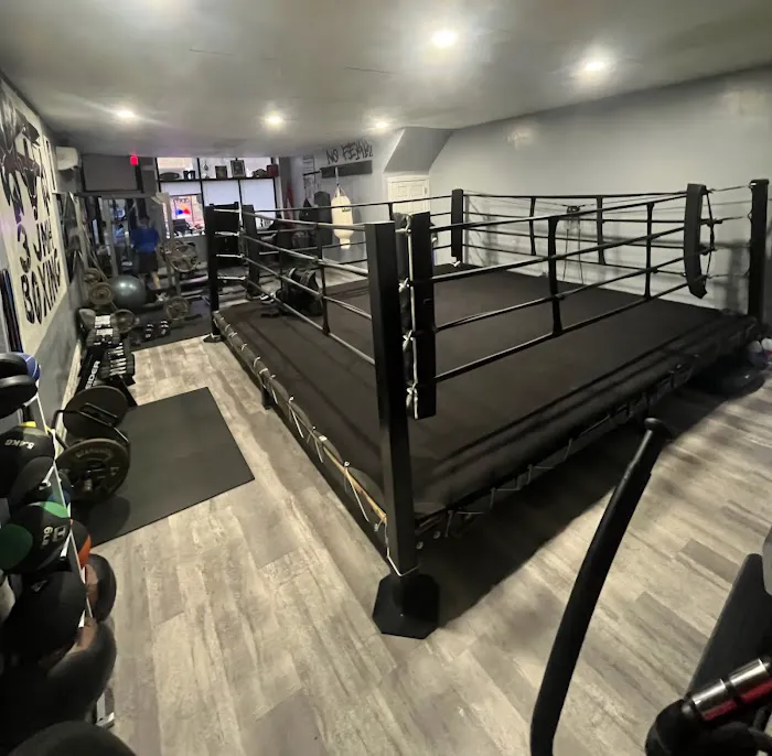 3 Jmh Boxing Picture 3