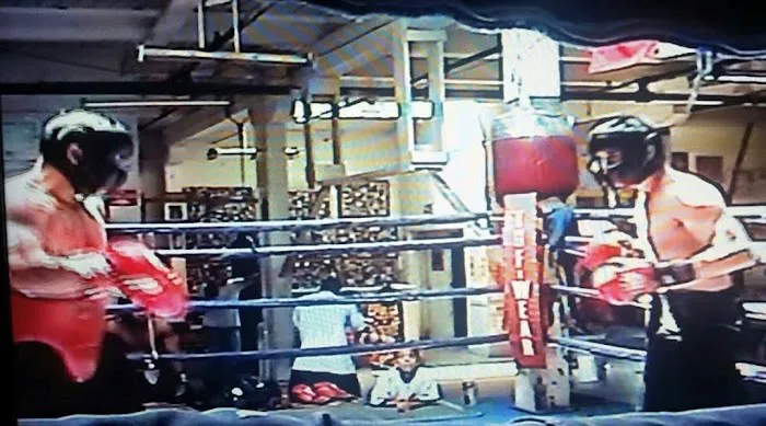 3 Jmh Boxing Picture 5