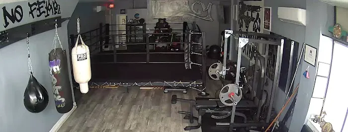 3 Jmh Boxing Picture 1