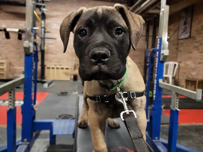 Lance's Gym Picture 3