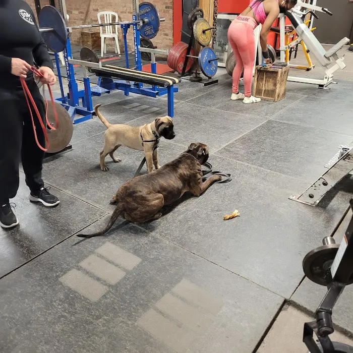 Lance's Gym Picture 2