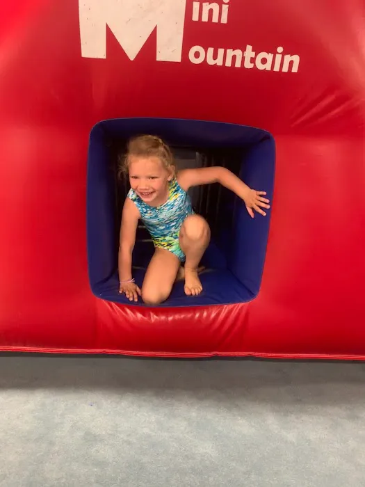 Flip Star Gymnastics Academy Picture 5